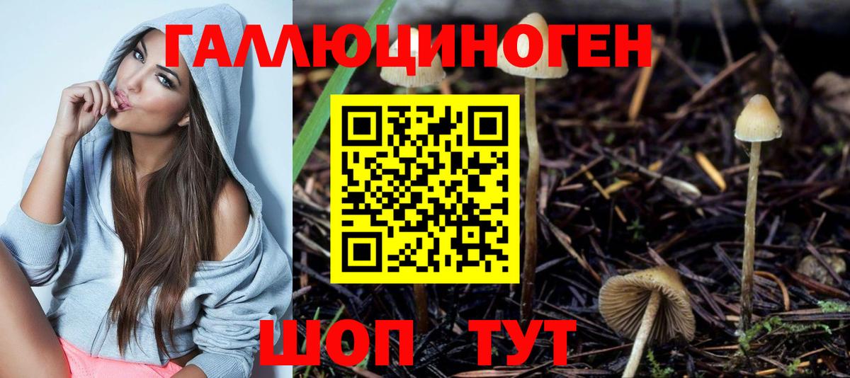 Псилоцибиновые грибы мухоморы  Вход с VPN  Тутаев  Галлюциногенные грибы Cubensis 