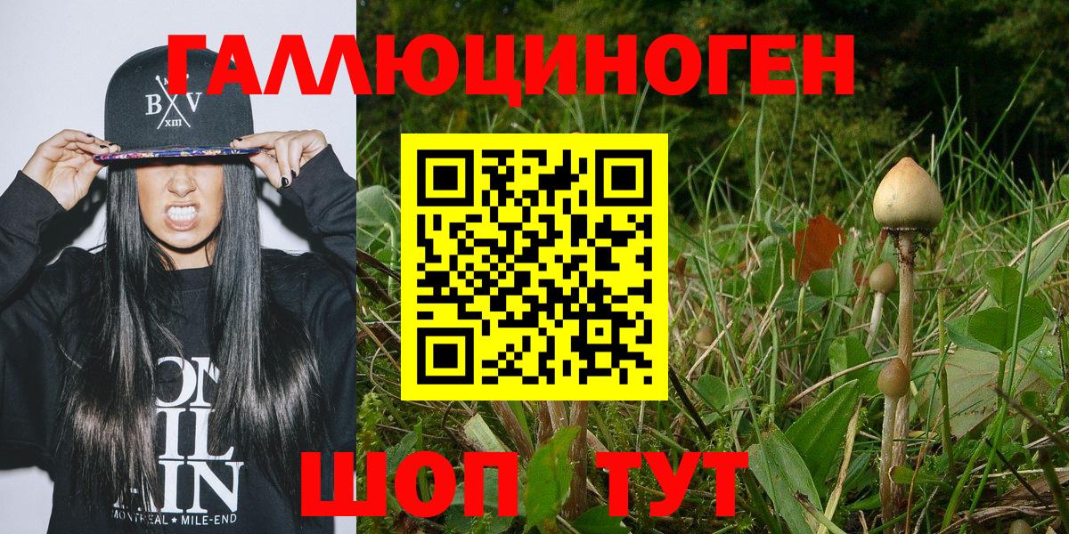 Псилоцибиновые грибы Magic Shrooms Тутаев